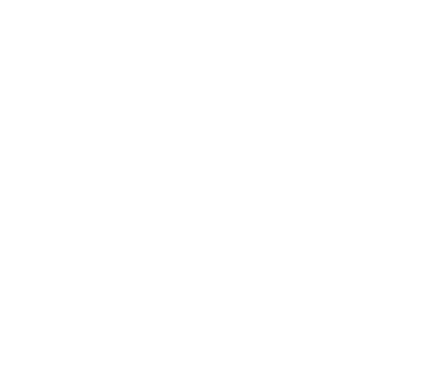 GitHub logo